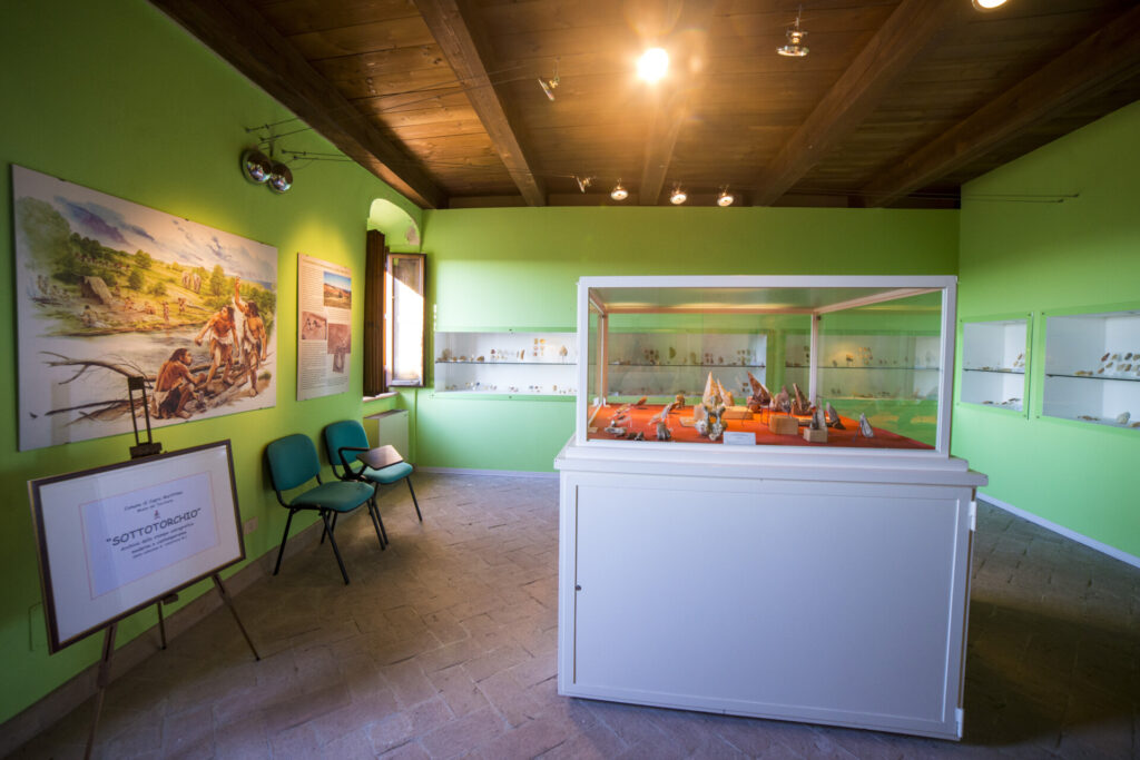 Museo Archeologico - Cupra Marittima - Iacom