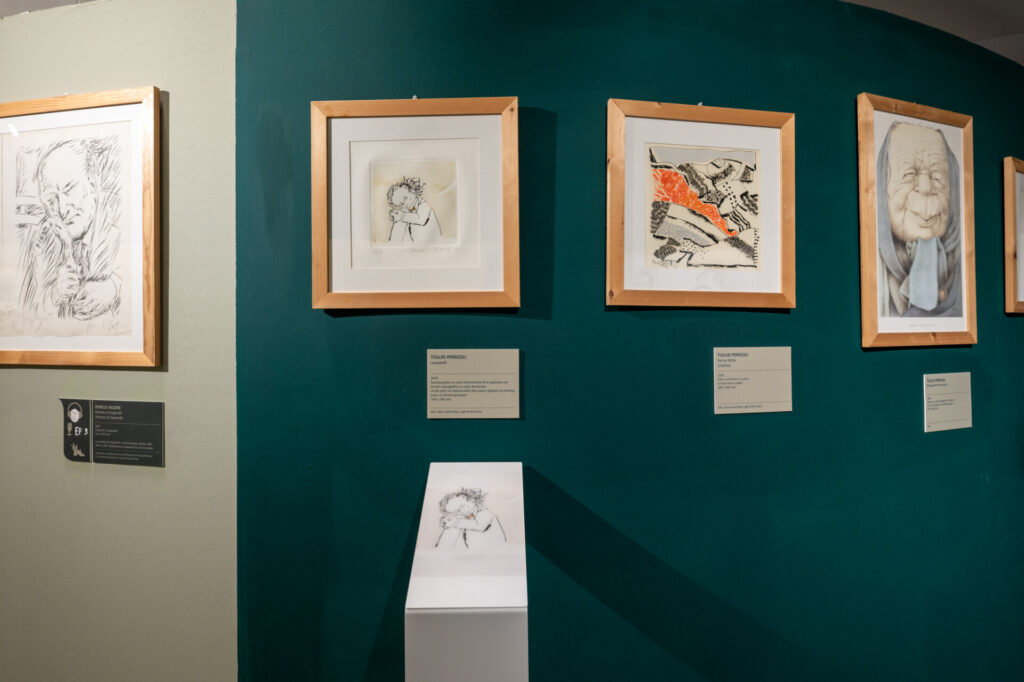 Mic - Grottammare | Iacom