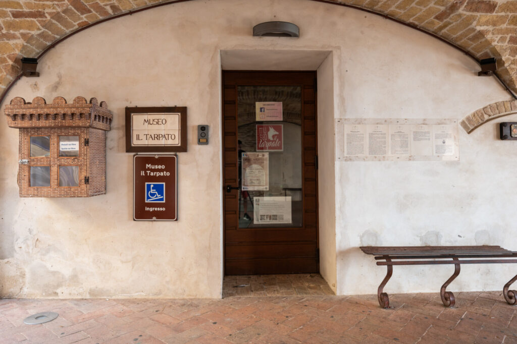 Museo del Tarpato - Grottammare | Iacom