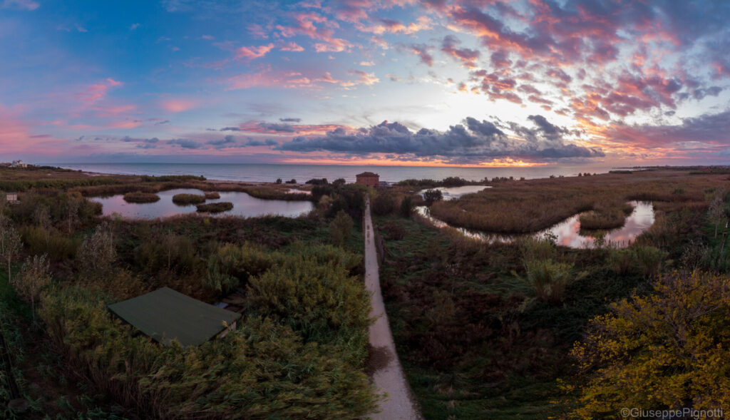 Riserva naturale Sentina - San Benedetto del Tronto - Iacom