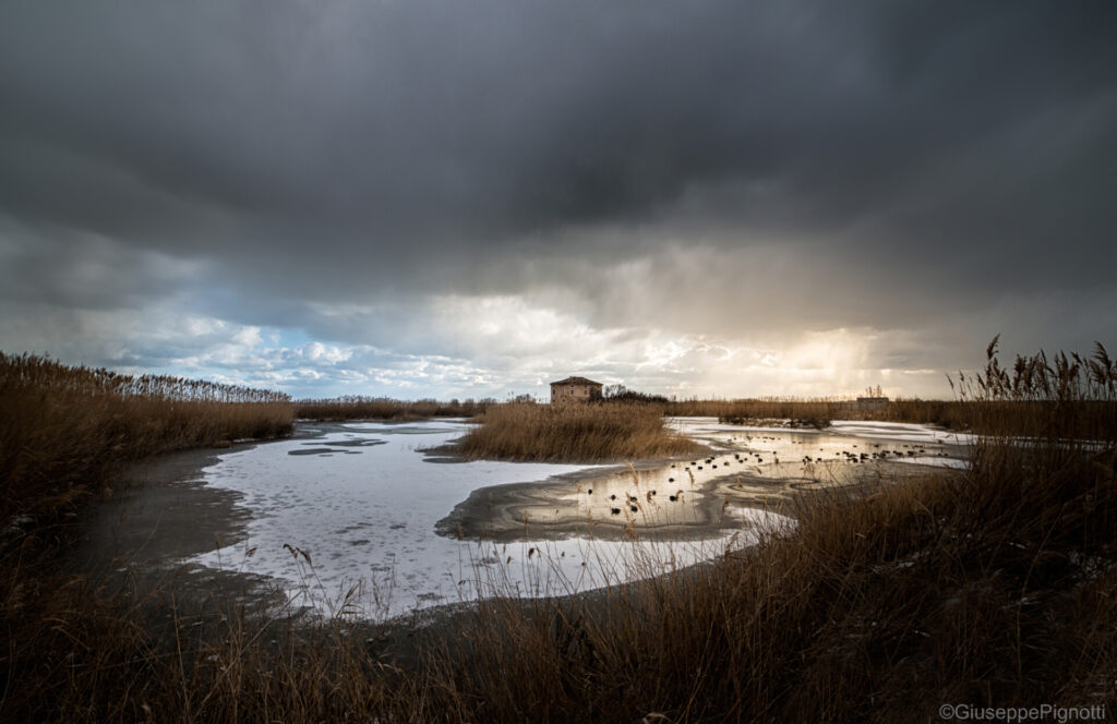 Riserva naturale Sentina - San Benedetto del Tronto - Iacom